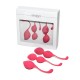 Rimba Geneva Kegal Ball Training Set Pink