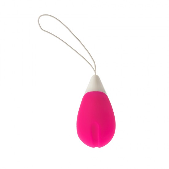 All Time Favourite 10 Function Remote Control Egg